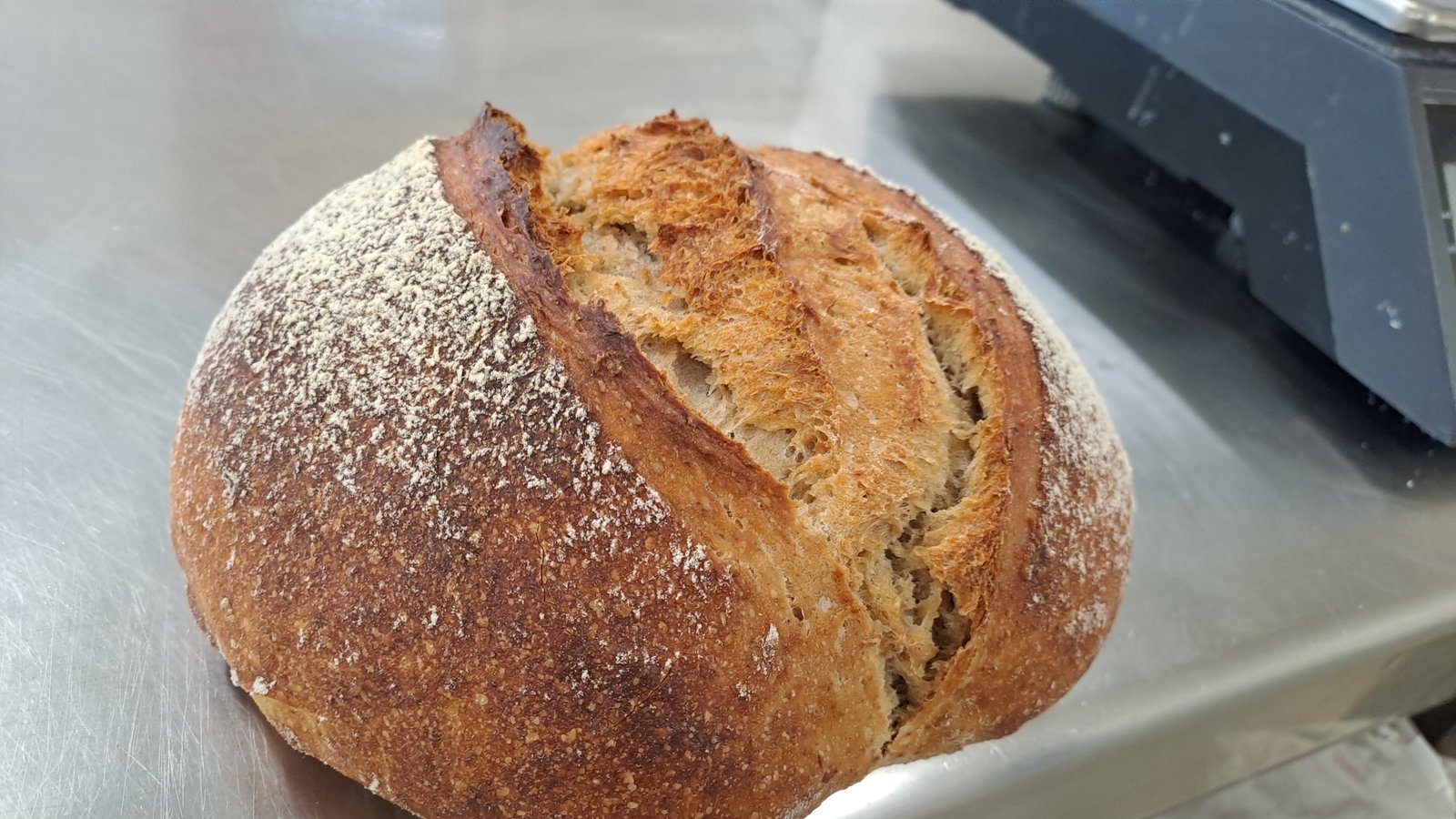 1773478765-20260313_115602.jpg 1773478765-20260313_115602.jpg